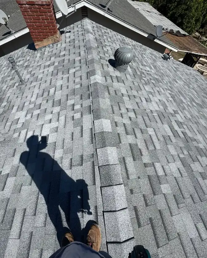 Roof leak diagnosis and source tracing