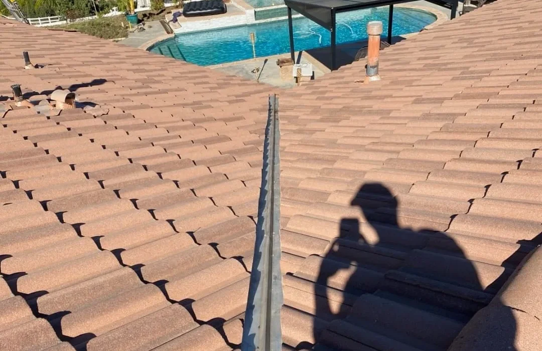 1772401345WhatsApp Image 2026-03-02 at 2.55.48 AM